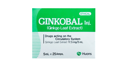 Ginkobal Inj (Ginkgo Leaf Dry Extract)